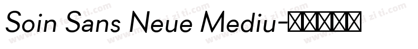 Soin Sans Neue Mediu字体转换